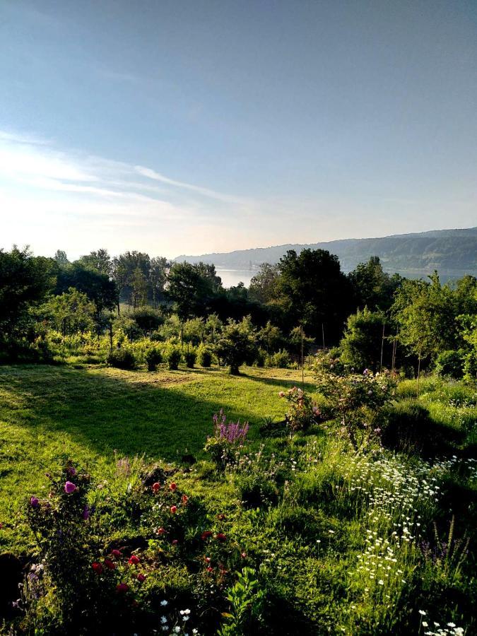 Seenah - Ihre Wohnung Am Bodensee / Untersee غايِنهوفِن المظهر الخارجي الصورة